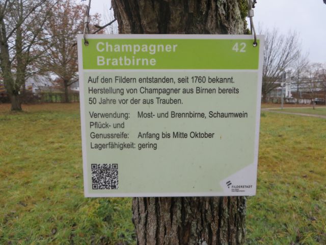 Schild Champangner Bratbirne im Museumsobstgarten Filderstadt